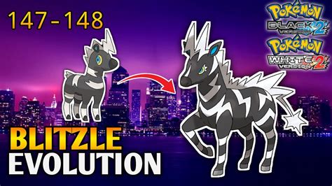 what level does blitzle evolve|Blitzle (Pokémon) .